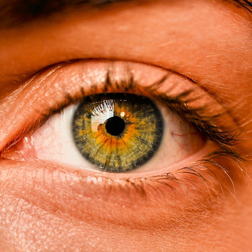 Kunst des Loslassens - EMDR - ein geöffnetes Auge